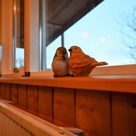 Thingvellir Cabin/Chalet セルフォス エクステリア 写真